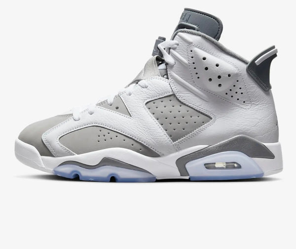 Jordan 6 “Cool Grey “