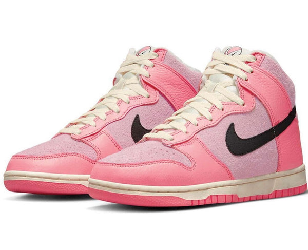 SB DUNKS HIGH HOOPS
